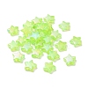 Eco-Friendly Transparent Acrylic Beads PL556-PW42-1