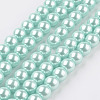Eco-Friendly Dyed Glass Pearl Round Beads Strands HY-A002-10mm-RB034N-1