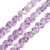 Natural Amethyst Beads Strands G-Z152-B01-01-2