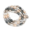 Electroplated Shell Pearl Beads Strands BSHE-H113-06C-03-2