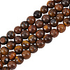 Olycraft 4 Strands Natural Grade AB Tiger Eye Round Beads Strands G-OC0005-01-1