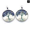 Natural Lapis Lazuli Pendants PW-WGDCF81-05-1