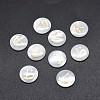 Shell Cabochons SSHEL-E568-B13-2