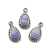 Natural Blue Lace Agate Teardrop Charms STAS-B074-04P-02-1
