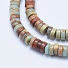 Natural Aqua Terra Jasper Beads Strands G-E444-17-8mm-3