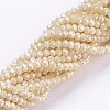 Electroplate Glass Beads Strands X-GLAA-F078-FR08-1