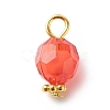 Transparent Acrylic Pendants PALLOY-JF01811-2