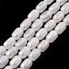 Natural Selenite Beads Strands G-F750-B-20-2