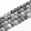 Natural Hawk's Eye Beads Strands G-R446-8mm-17-1