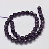 Natural Amethyst Round Bead Strands G-M304-18-10mm-2