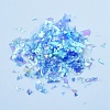 Plastic Candy Sequins/Paillette Chip DIY-I019-02A-2
