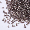 8/0 Glass Seed Beads X2-SEED-A005-3mm-56-2