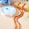 DIY Natural Regalite/Imperial Jasper/Sea Sediment Jasper Beads Bracelets  Making KIts DIY-TA0002-69B-6
