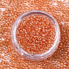 Glass Seed Beads X-SEED-S042-11A-03-2