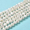 Natural Cultured Freshwater Pearl Beads Strands PEAR-E017-23-2