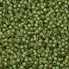 TOHO Round Seed Beads SEED-JPTR11-0946FM-2