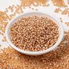 MIYUKI Round Rocailles Beads SEED-X0055-RR0580-2