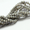 Round Full Rainbow Plated Imitation Jade Faceted(32 Facets) Electroplate Glass Beads Strands X-EGLA-J130-FR11-1