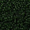 MIYUKI Round Rocailles Beads X-SEED-G008-RR0158F-3