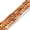 Natural Maifanite/Maifan Stone Beads Strands G-P451-01C-C-1