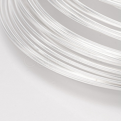 Carbon Steel Memory Wire STAS-H021-S-1-1