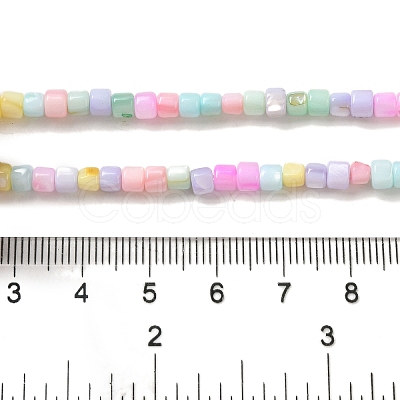 Rainbow Color Dyed Natural Freshwater Shell Beads Strands SHEL-G018-02D-1
