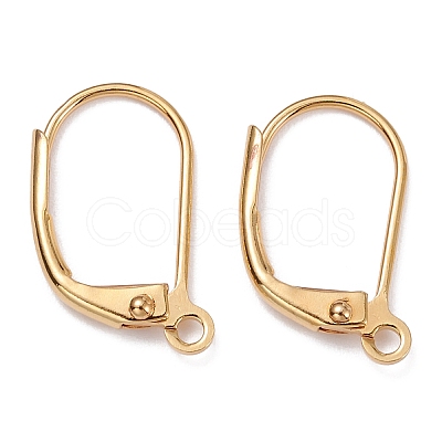 Brass Leverback Earring Findings X-KK-F824-007G-1