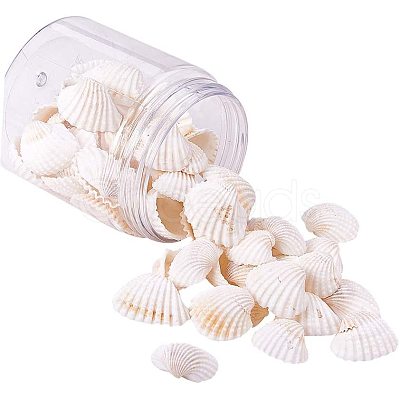 Shell Beads BSHE-PH0003-15-1