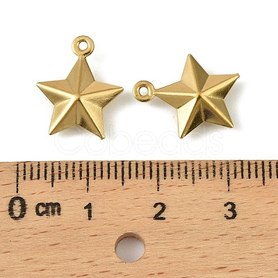 304 Stainless Steel Charms. Star Charm STAS-A190-05G-1