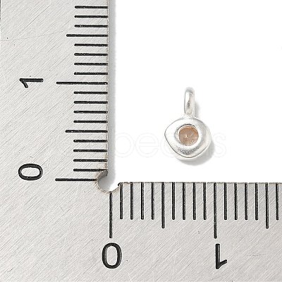 925 Sterling Silver Cubic Zirconia Flat Round Charms STER-R002-02S-06-1