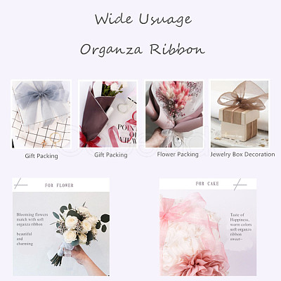 Organza Ribbon RS6mmY015-1