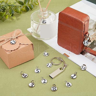 2Set Glass Charms GLAA-NB0001-43-1