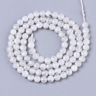 Natural Rainbow Moonstone Beads Strands G-R462-010-1