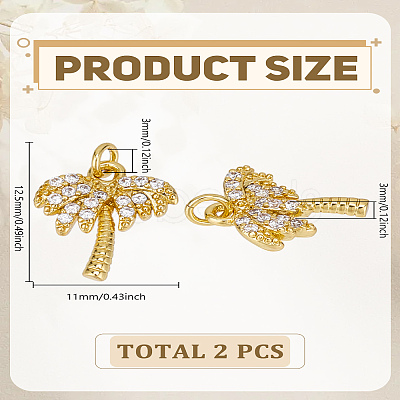 2Pcs Brass Micro Pave Grade AAA Cubic Zirconia Charms ZIRC-LP0001-34-1