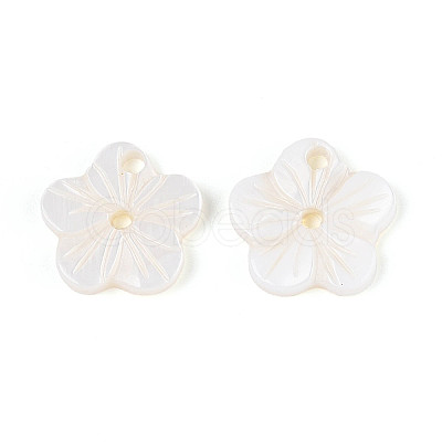 Natural Freshwater Shell Buttons SHEL-N038-11-1