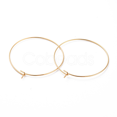 316 Surgical Stainless Steel Hoop Earring Findings X-STAS-J025-01E-G-1