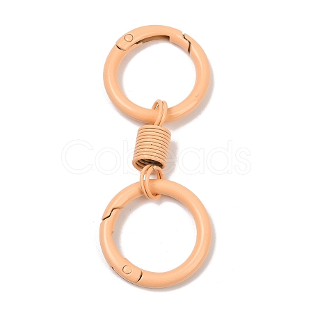 Alloy Spring Gate Clasps PALLOY-Q009-01E-1