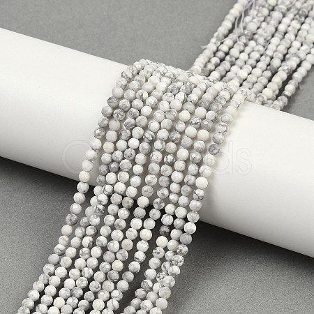 Natural Howlite Beads Strands G-C181-B03-02-1