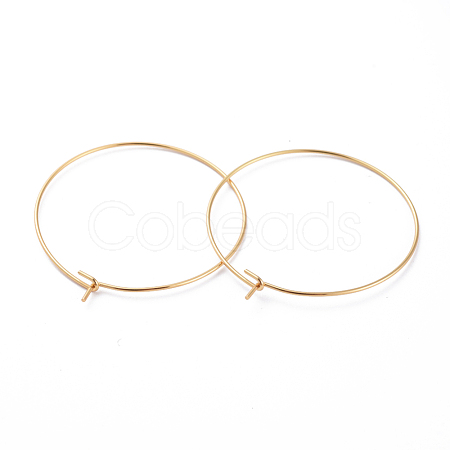 316 Surgical Stainless Steel Hoop Earring Findings X-STAS-J025-01E-G-1