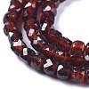 Natural Garnet Beads Strands G-E560-A18-3