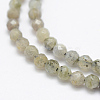 Natural Labradorite Beads Strands G-P322-28-4mm-3