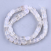 Natural Agate Beads Strands G-T121-04D-2