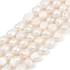Natural Cultured Freshwater Pearl Beads Strands PEAR-P064-20L-03A-2