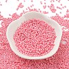 Baking Paint Glass Seed Beads X-SEED-S042-05B-86-2