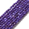 Natural Freshwater Shell Beads Strands SHEL-H003-03B-1