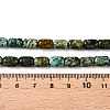 Natural African Turquoise(Jasper) Beads Strands G-G980-33A-5