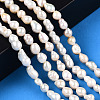 Natural Baroque Pearl Keshi Pearl Beads Strands X-PEAR-S020-F01-02-2