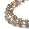 Natural Labradorite Beads Strands G-P463-35-4