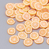 Handmade Polymer Clay Cabochons CLAY-N002-02I-1