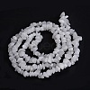 Natural White Jade Beads Strands X-G-F703-02-4